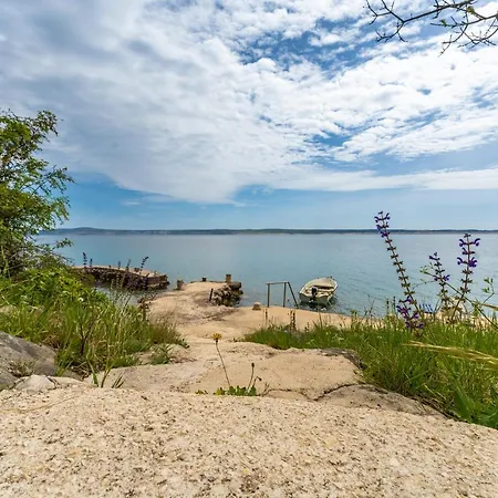 Stjepanovic Apartament *